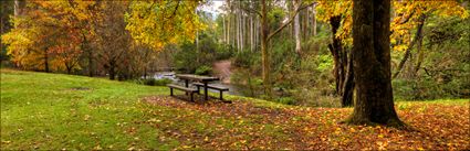 Bogong - VIC (PBH3 00 34432)